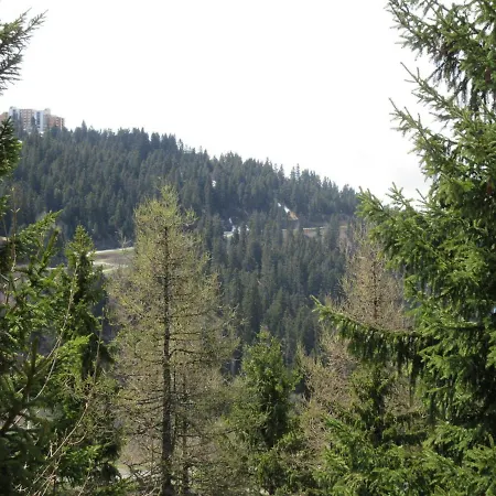 Studio Chamrousse, 1 Piece, 3 Personnes - Fr-1-340-155 * Chamrousse